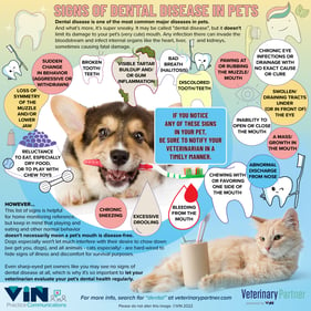 Signs-of-Dental-Disease-in-PETS