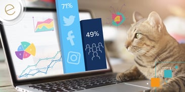 cat looking on computer at social media icons