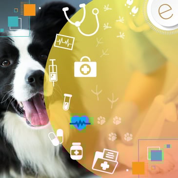 black and white dog looking at medical symbols
